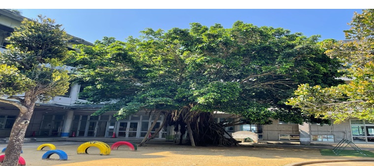 「学校の風景」ブログへ